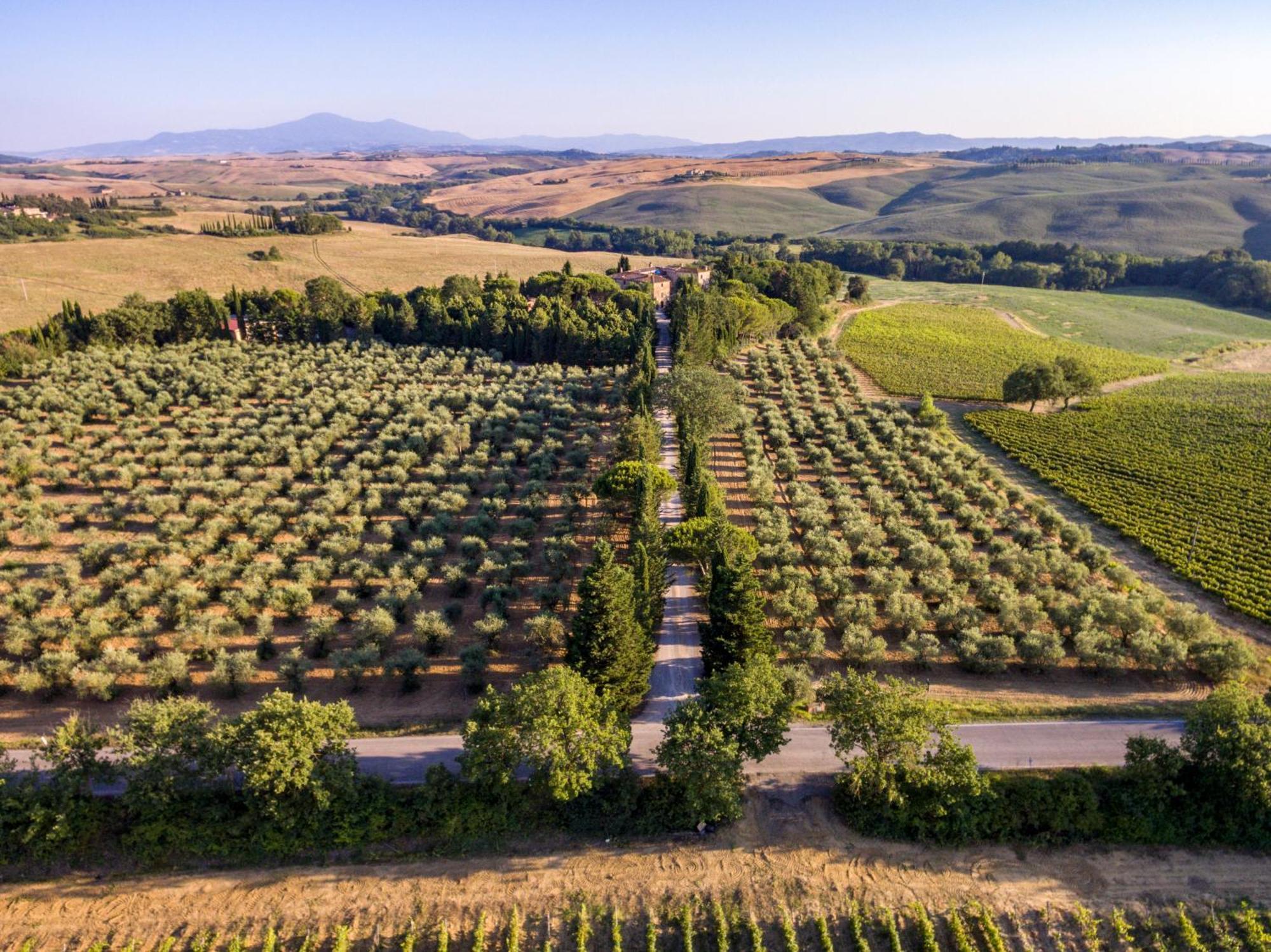Agriturismo Pometti - Fattoria La Selva Trequanda Exterior photo